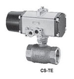 CS-TS